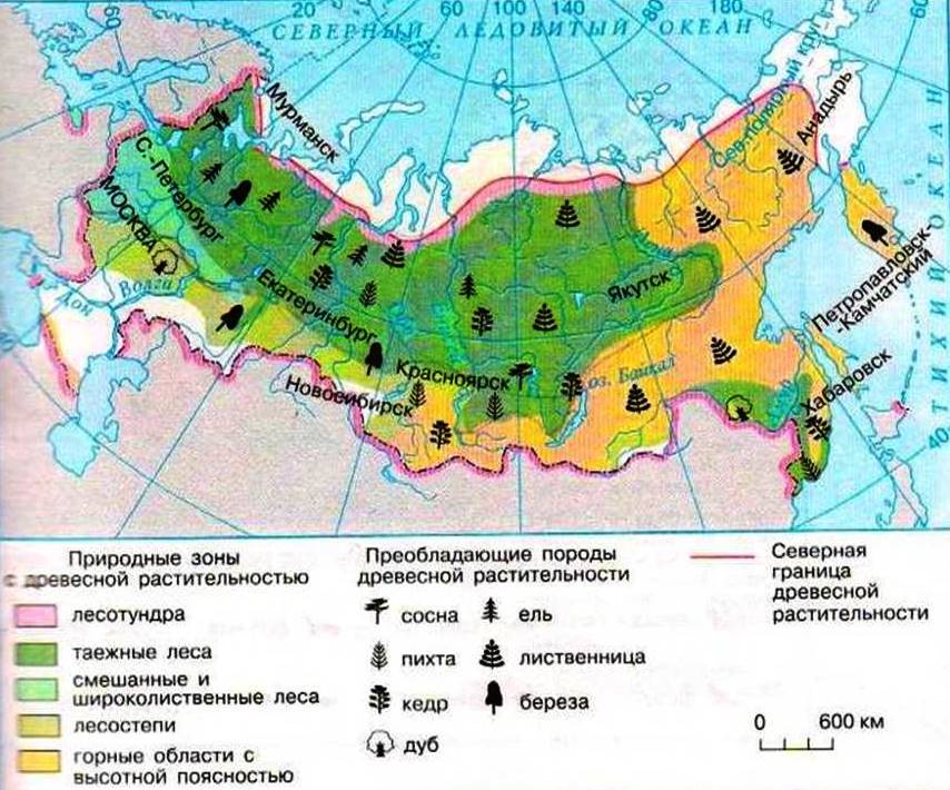 Природные зоны и биологические ресурсы россии карта