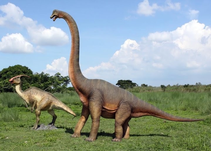 Динозавр с длинной шеей травоядный фото