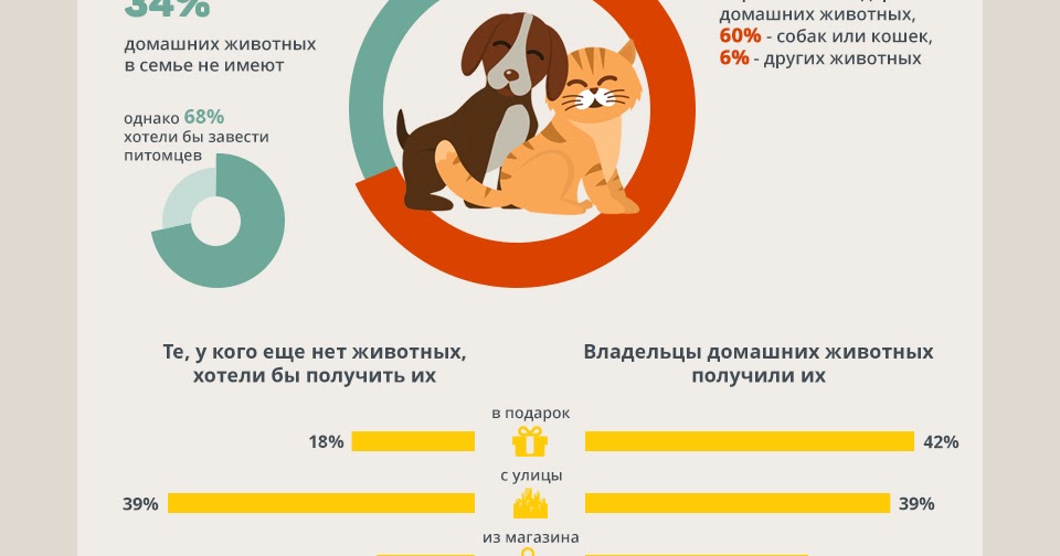 Статистика животных в россии. Статистика домашних животных. Инфографика бездомные животные.