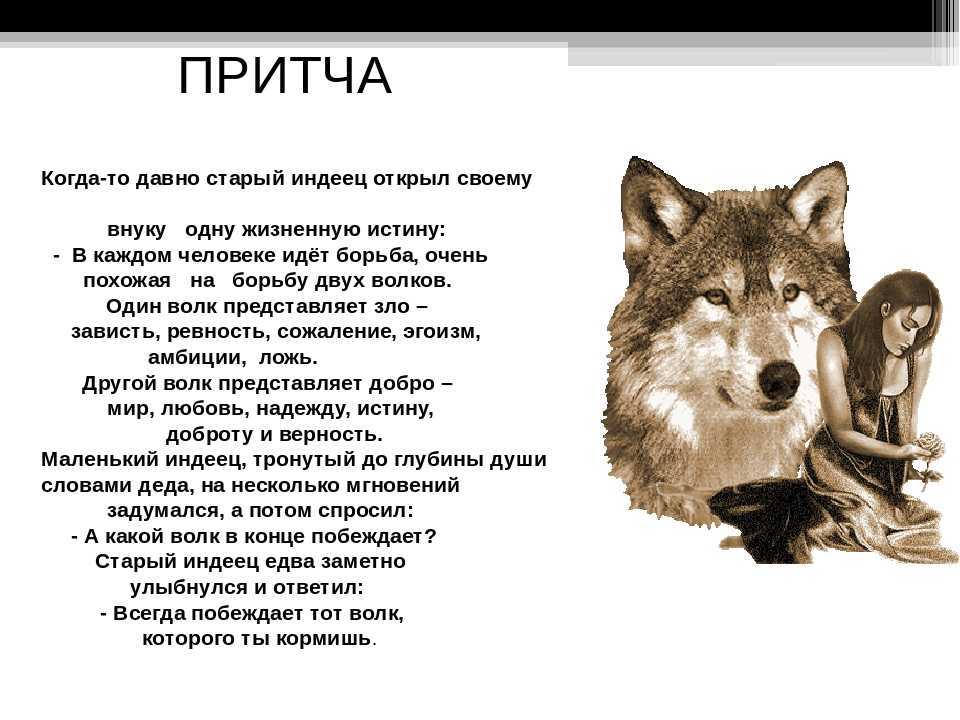 Почему волка назвали волком. Стих про волка. Притча про Волков и собаку. Притча о волках. Притча о двух волках.