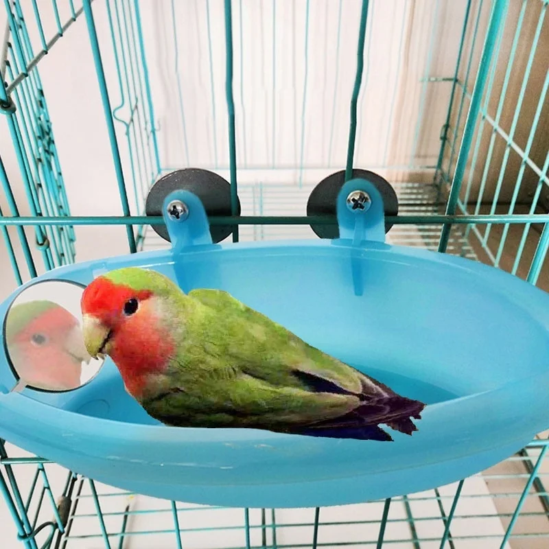 Ванночка для попугаев. Ванночка для попугая. Ванночка для купания попугая. Ванна для попугаев волнистых. Купальня для попугаев волнистых.