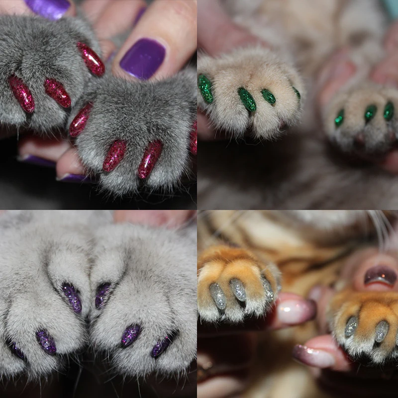 Сколько у кошки ногтей. Антицарапки для кошек. Антицарапки на когти для кошек. Кошка на ногтях. Коньки на ногтях.