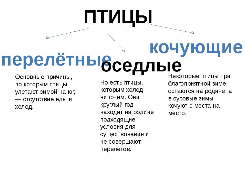 Презентация кочующие птицы