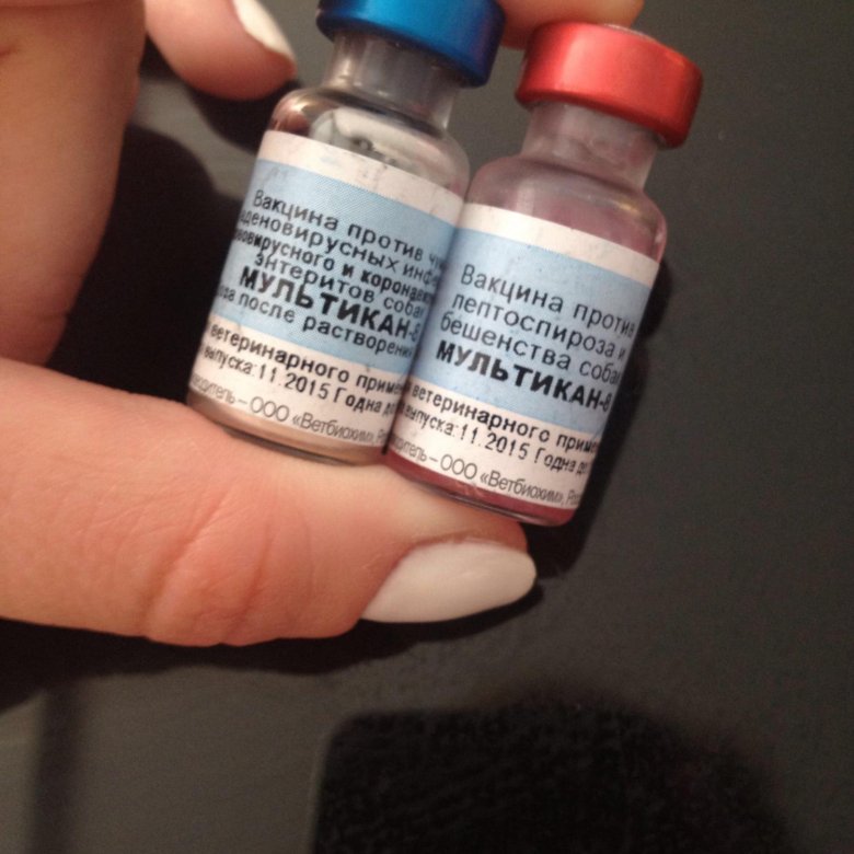 Купить вакцину мультикан 8