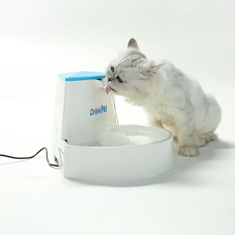 Как научить котенка пить воду. Автопоилка ПЭТ диспенсер. Автопоилка IMAC Pet Fountain 2 л. Поилка фонтан для кошек Xiaomi. Автопоилка для кошек с датчиком движения.