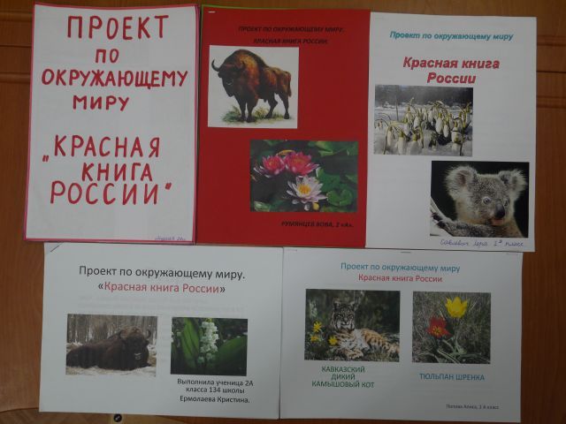 Творческий проект на тему красная книга