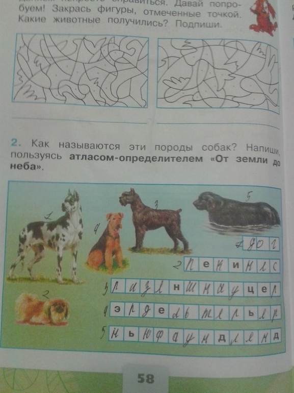 Окружающий мир породы собак рабочая тетрадь