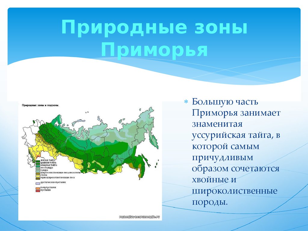 Уссурийская тайга карта