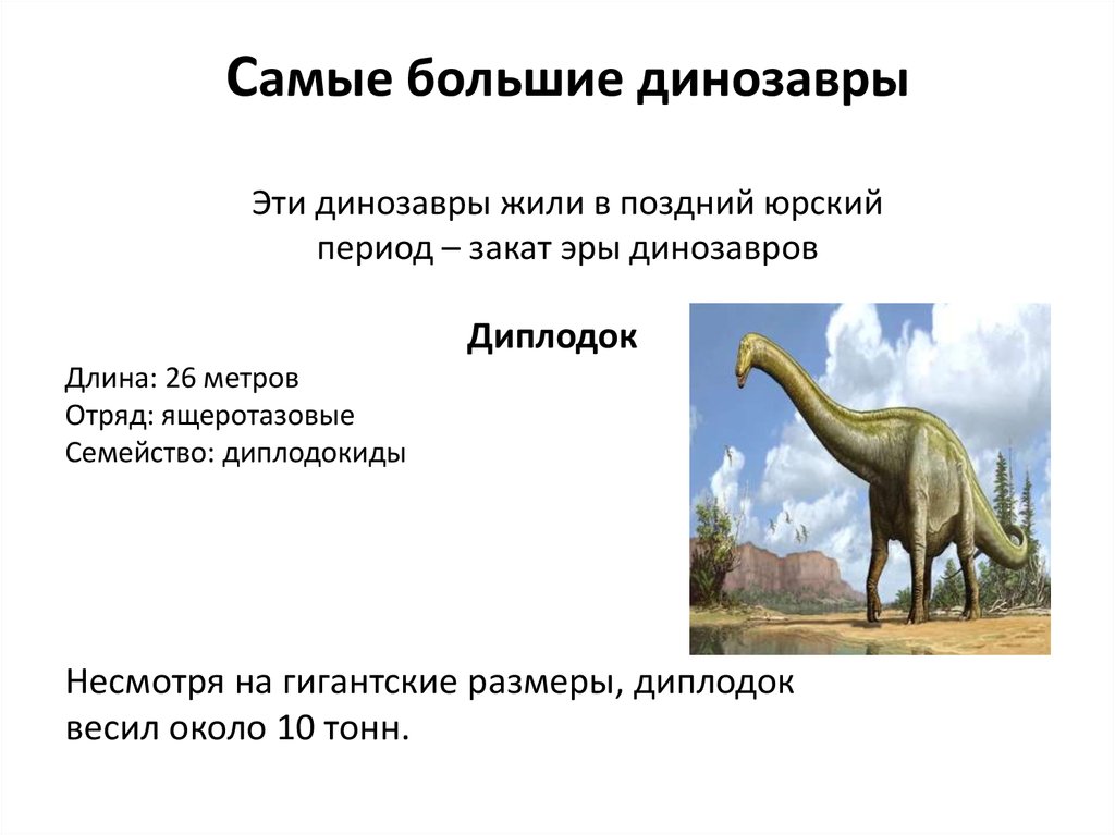 Новый период появился в периоде. Самый высокий динозавр в мире рост. Самый высокий динозавр в мире высота. Высота диплодока в метрах. Описание самого тяжёлого динозавр в мире.