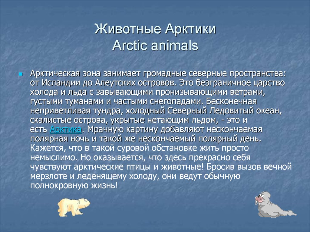 Животные арктики 4 класс. Рассказ о животном Арктики. Сообщение о животных Арктики. Арктические животные сообщение. Доклад о арктических животных.