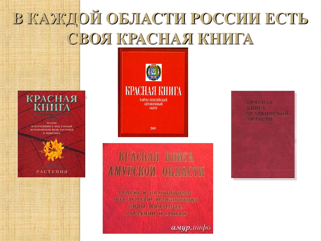 Разные красные книги. Красная книга России. Проект красная книга России. Красная книга мира. Красные книги бывают.