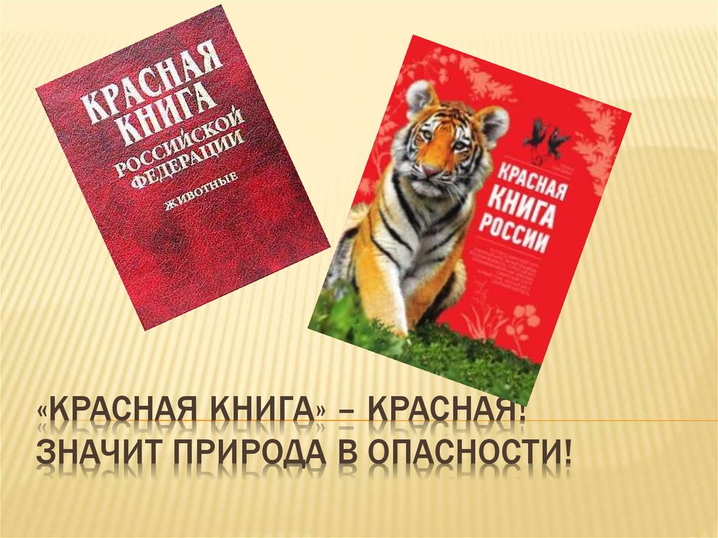 Субъекты красной книги. Красная книга. Красный. Krassnaya kniqa. Изображение красной книги.