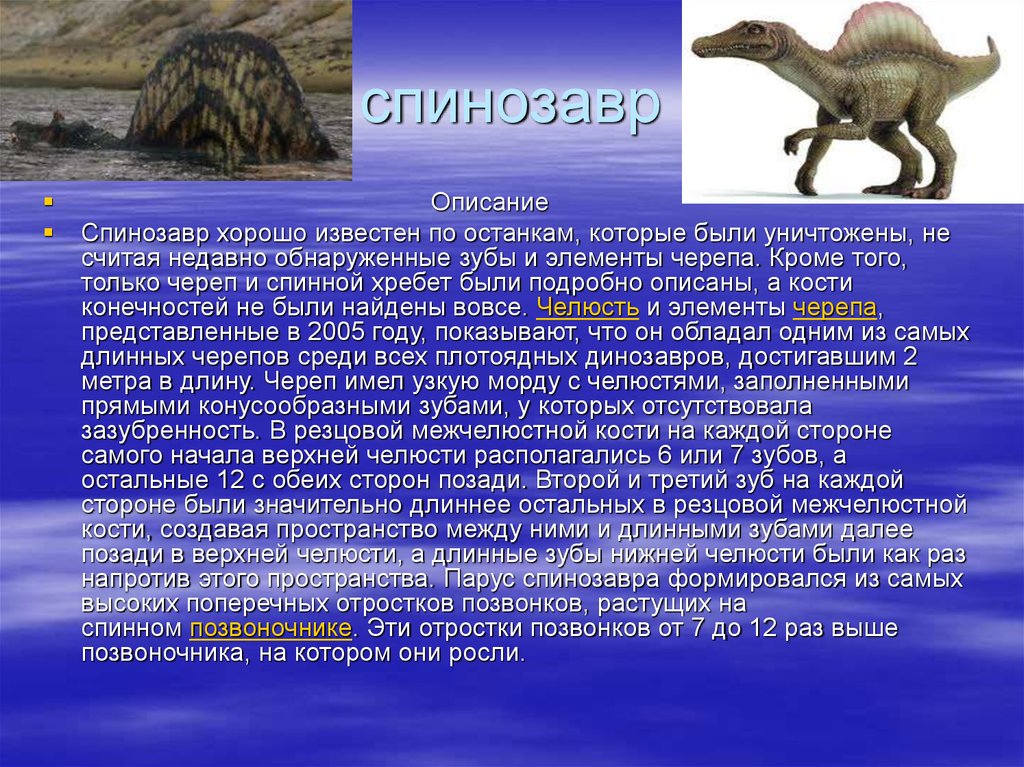 Опиши динозавра. Спинозавр краткое описание. Спинозавр описание для 1 класса. Описание Спинозавра. Динозавр Спинозавр.
