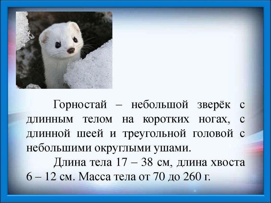 Знаете ли вы кто такой горностай рассмотрите рисунок прочитайте текст выпишите слова которые