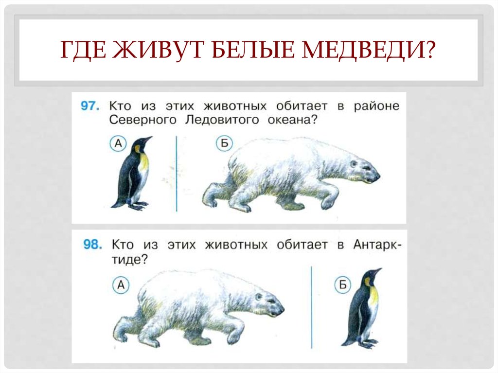 Где живут белые медведи 1 класс школа россии презентация