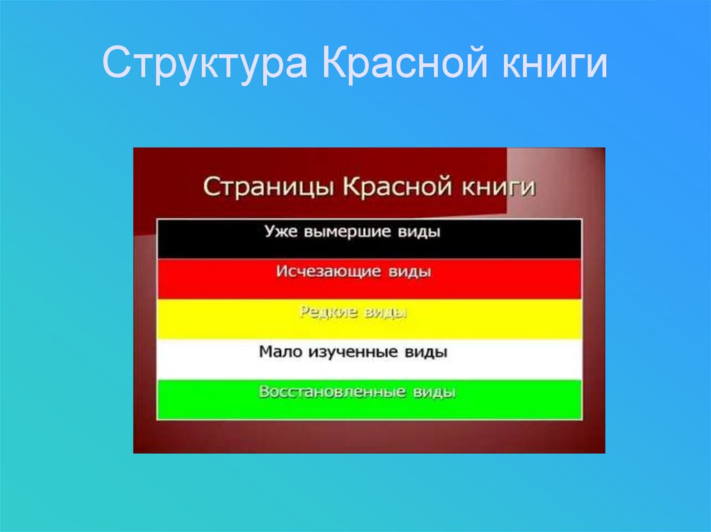 Какого цвета страницы. Структура красной книги. Структура красной книги России. Мтруктура скрасной книги Росс. Цветные страницы красной книги.