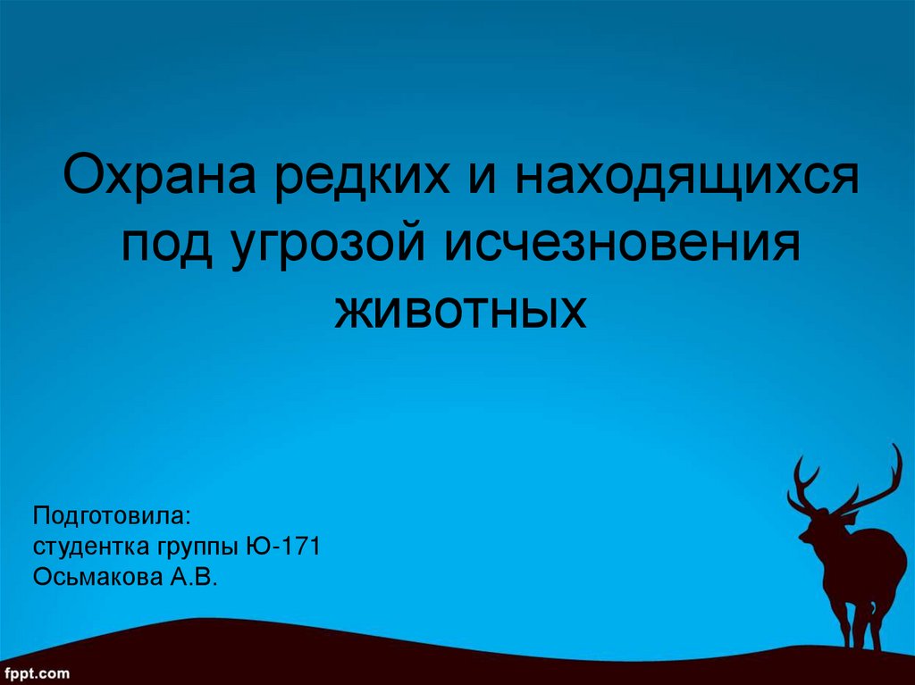 Под угрозой исчезновения. Охрана редких животных. Охрана редких и исчезающих животных. Презентация охран редких животных.