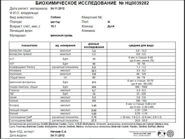 Карта аллергического обследования