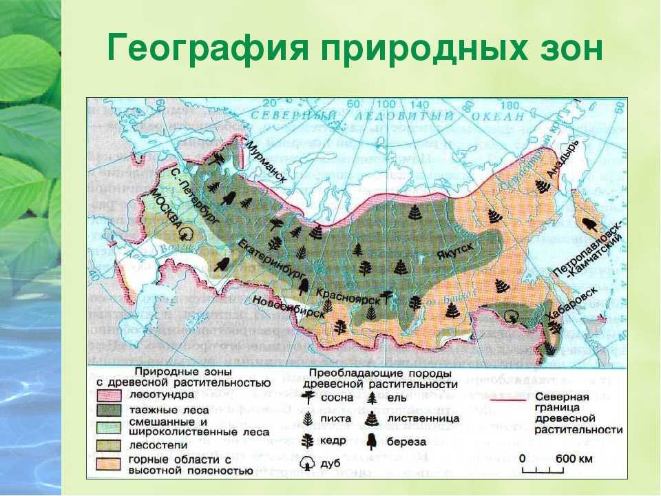 Географическая карта природных зон