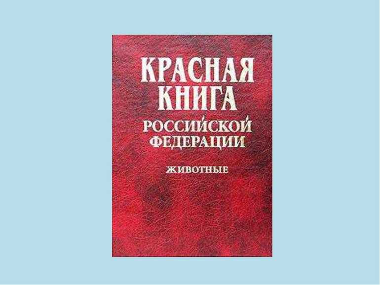 Красная книга первое издание год. Красная книга. Красная книга Российской Федерации. Международная красная книга. Красная книга обложка.