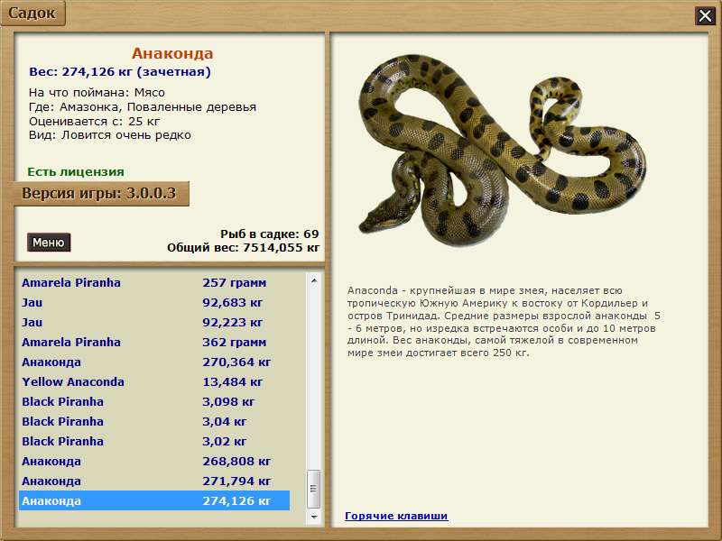 Сколько метров анаконда. Размер Анаконда в метрах. Анаконда змея Размеры в метрах.