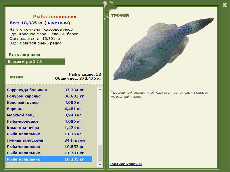 Клички для рыбок мальчиков. Рыбы с названиями для детей. Число имени рыб. Число имени рыб. Рыбы по знаку зодиака.