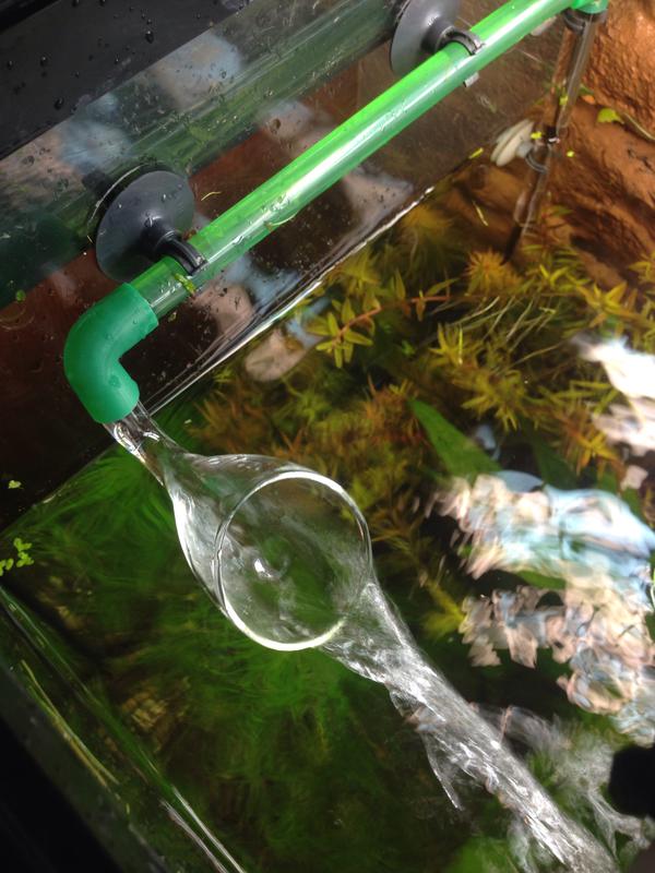 Кипяченая вода в аквариуме. Lily Pipe флейта. Лилипайп для внутреннего фильтра. Lily Pipe для аквариума.