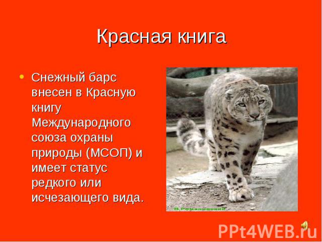 Проект по биологии 5 класс на тему красная книга