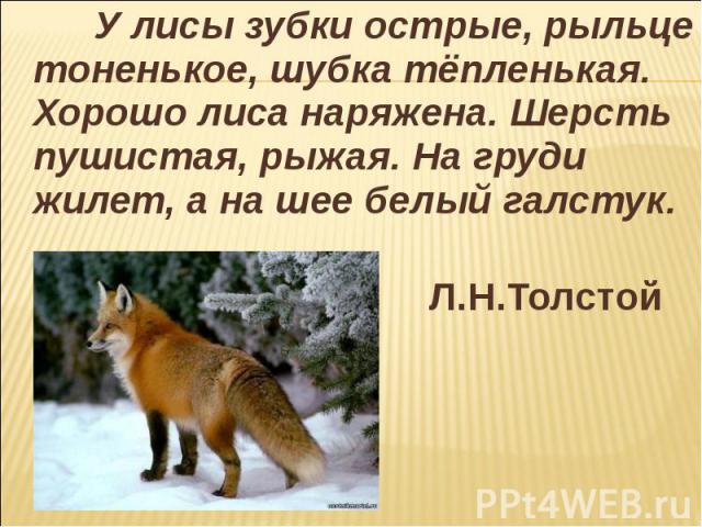 Предложение со словом лисица. У лисы зубки острые рыльце тоненькое шубка тепленькая. Рыльце у лисы. У кумушки лисы зубки острые. У лисы зубки острые рыльце тоненькое прилагательные.