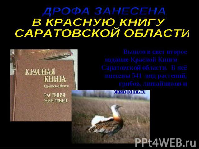 Красная Книга Саратовской Области Фото