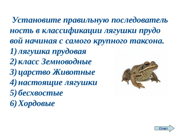 Лягушка класс животных