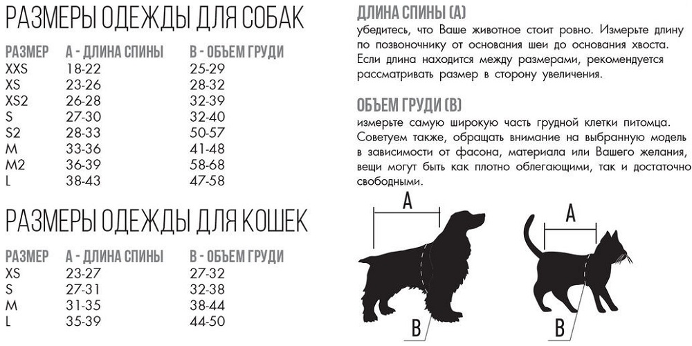 Таблица собак. Таблица размеров одежды для собак мелких пород китайская хохлатая. Размерная сетка для собак мелких пород шпиц. Размерная сетка для собак мелких пород чихуахуа. Размерная сетка для собак средних пород одежда.