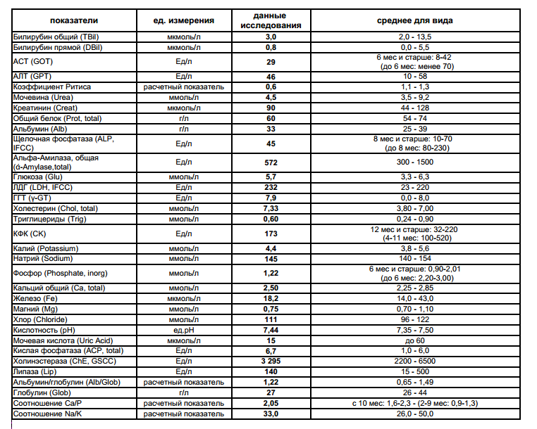 Алт при панкреатите. Показатели биохимии крови в норме у собак. Биохимия крови собаки норма. Биохимические исследования крови показатели нормы. Таблица показателей биохимического анализа крови у собак.