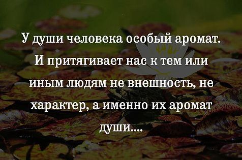 Запах души. У души человека особый аромат и притягивает. У диши человека осоьыы аромат. У души человека особый аромат. У души человека особенный аромат.