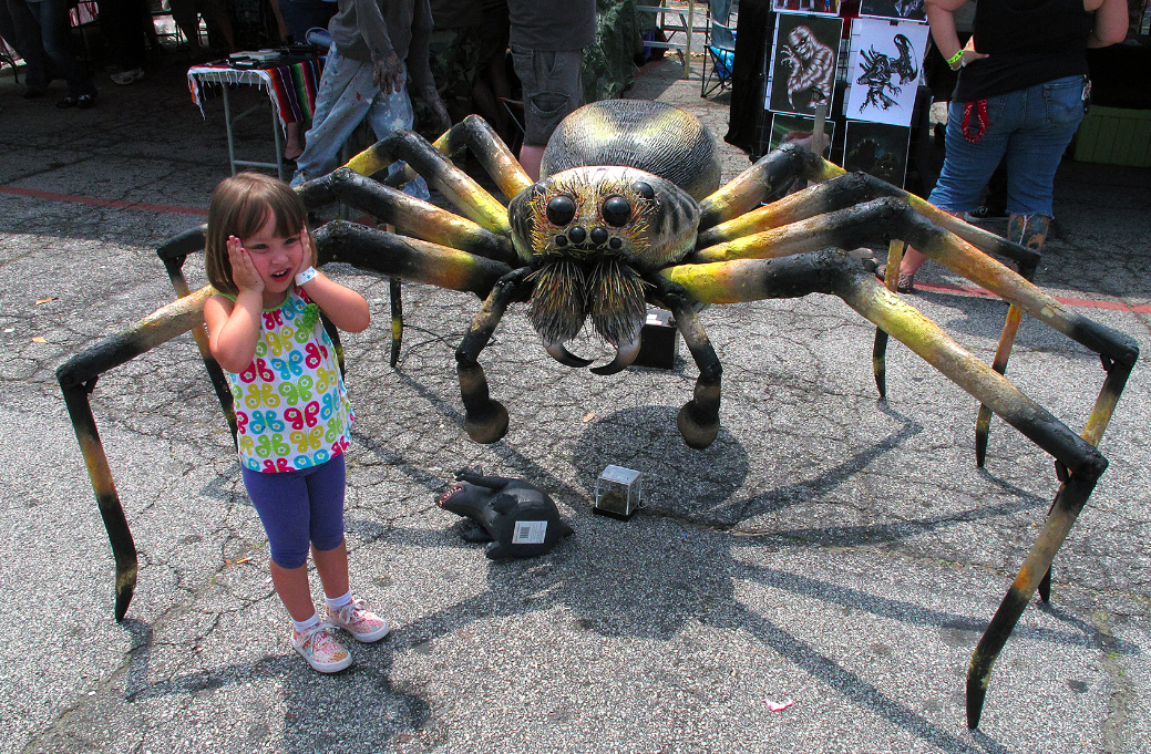 Включи папа паук. Giant Huntsman Spider. Самый большой паук. Самый гигантский паук в мире. Огромный Тарантул.