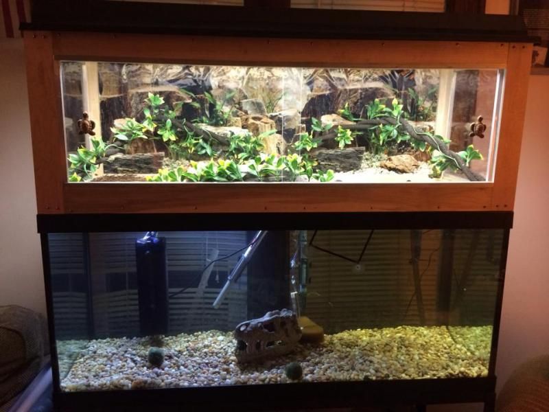 Авито аквариум для черепахи
