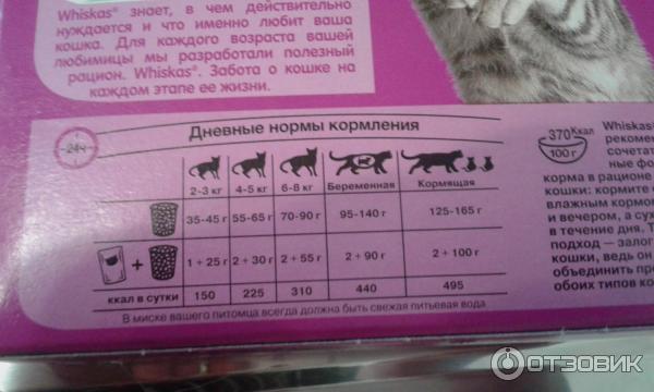 Сколько грамм корма котенку