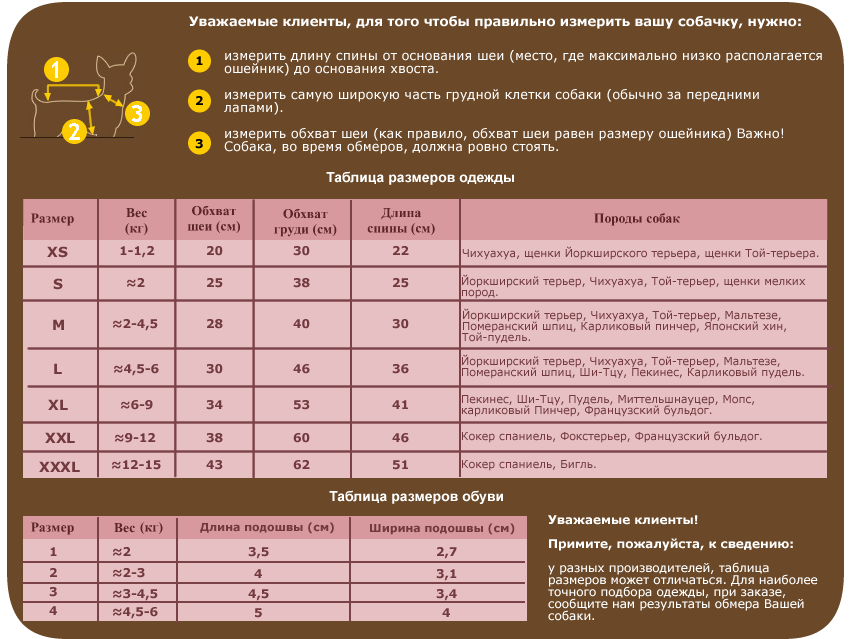 Со скольки месяцев можно гулять с щенком. Таблица размеров одежды для собак мелких пород йорки. Размерная сетка для собак мелких пород чихуахуа. Размерная сетка для собак мелких пород Йоркширский терьер. Размерная сетка для собак мелких пород таблица.
