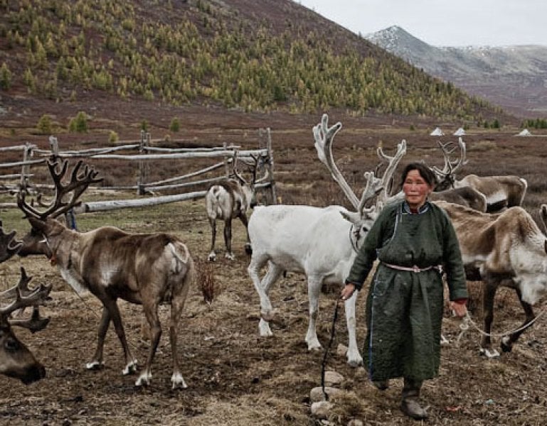 Виды хозяйственной деятельности человека в тайге