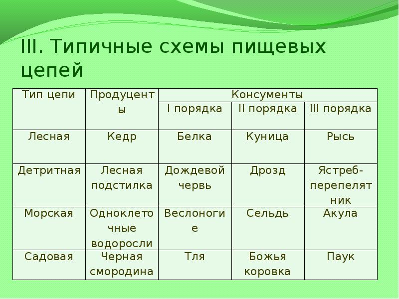 Схема питания биология