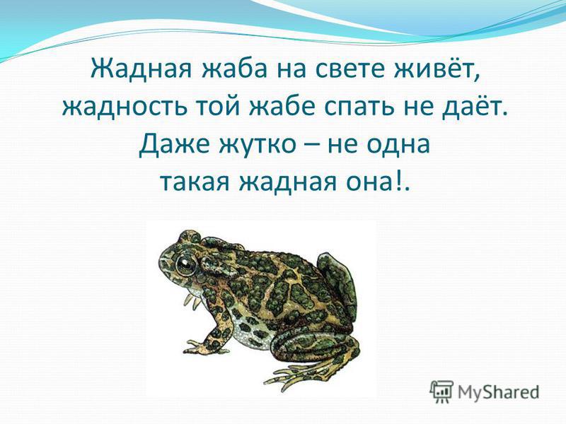 Как ты думаешь где скорее всего понравилось бы жить жабе аге выбери одну из картинок