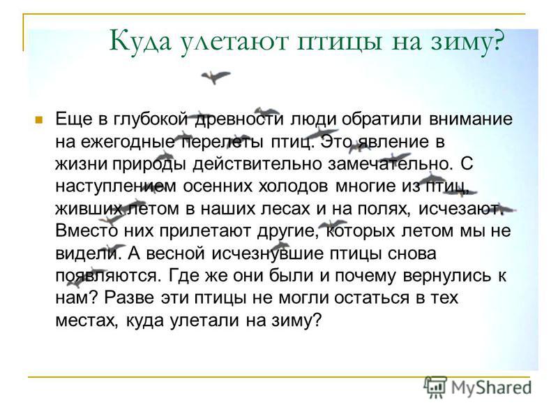 Рассказ куда. Куда улетают птицы на зиму. Куда улетают птицы зимой. Куда улетают птицы на зимовку. Куда улетают птицы на зиму для 2 класса.