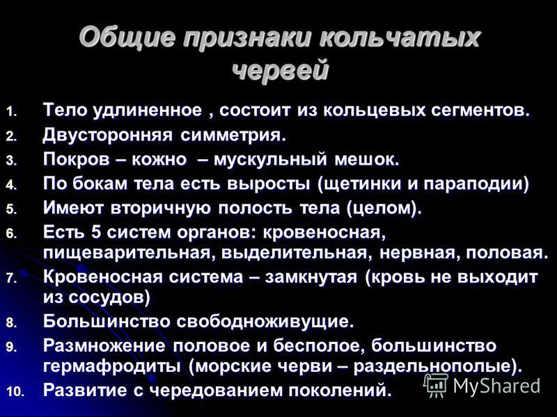 Характеристика червей 7 класс. Общая характеристика кольчатых червей. Тип кольчатые черви общая характеристика. Общая характеристика типа кольчатые черви 7 класс кратко. Основные характеристики кольчатых червей.