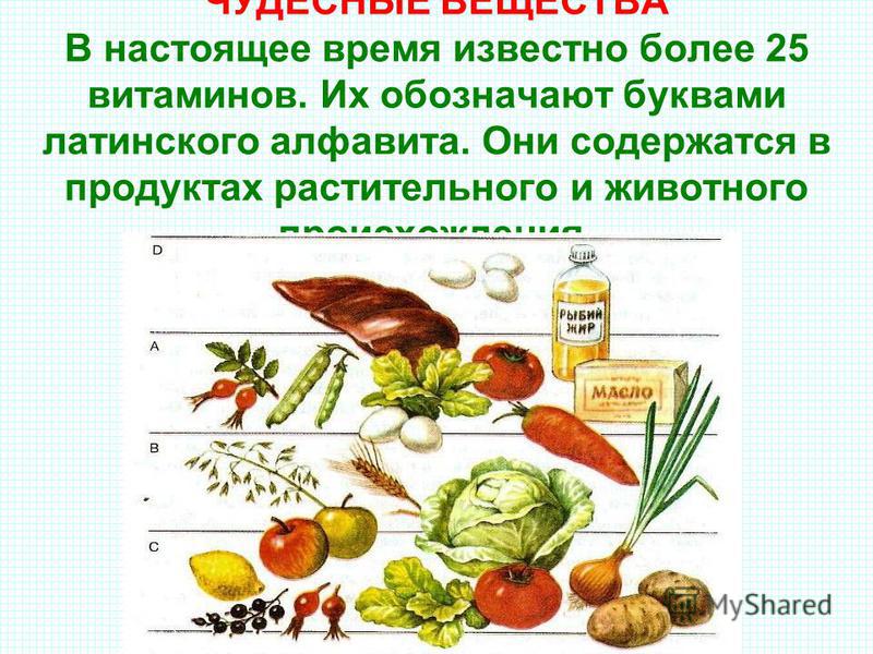 Почему витамины называют витаминами. Пища растительного происхождения. Продукты растительного происхождения состав. Produkti rostitelnovo proisxojdenia.