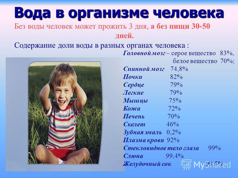 Сколько лет получилось. Вода в организме человека. Сколько воды в организме человека. Сколько воды в теле человека. Содержание воды в различных органах.