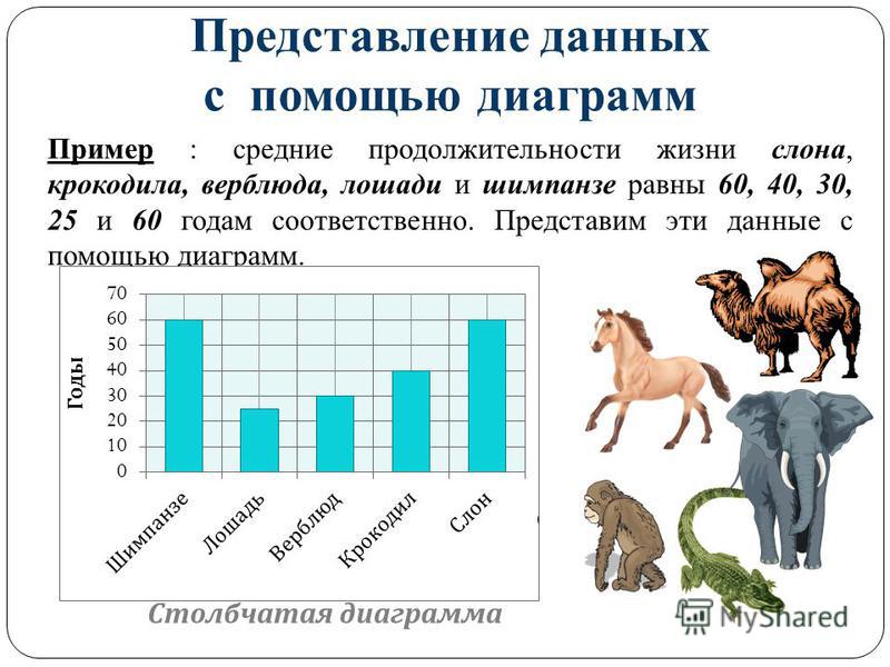 Сколько живут животные. Представление информации с помощью диаграмм. Представление данных с помощью диаграмм. Диаграмма продолжительности жизни животных. Изображение данных с помощью диаграмм.