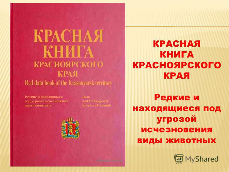 Красная книга красноярского. Республика Красноярск книги.