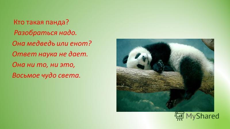 Панда. Стихи. Стихотворение про панду. Загадка про панду для детей. Про панду на английском
