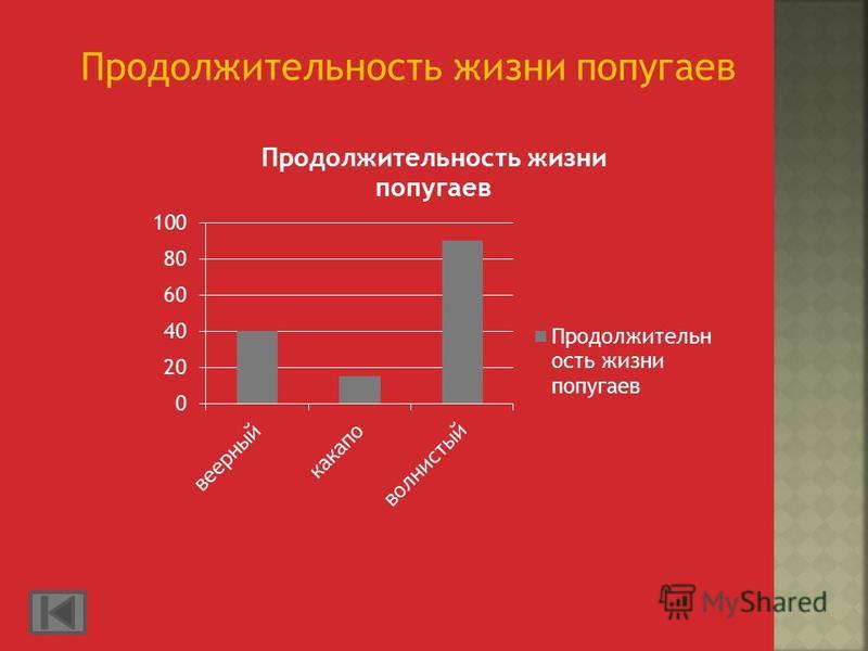 Продолжительность жизни животных 1 класс. Продолжительность жизни попугая. Длительность жизни попугаев. Продолжительность жизни попугайчиков. Таблица продолжительности жизни попугаев.