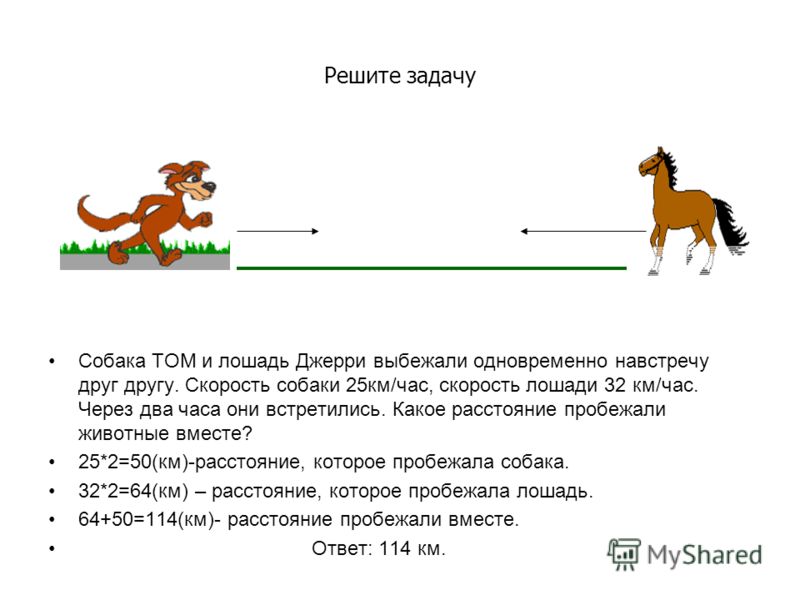 Скорость собаки